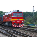 Sergej - T679.1168